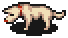 野良犬