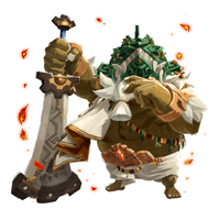 『ゼルダ無双 封印戦記』 - アーガスタ