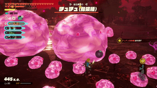 チュチュ（危険種）