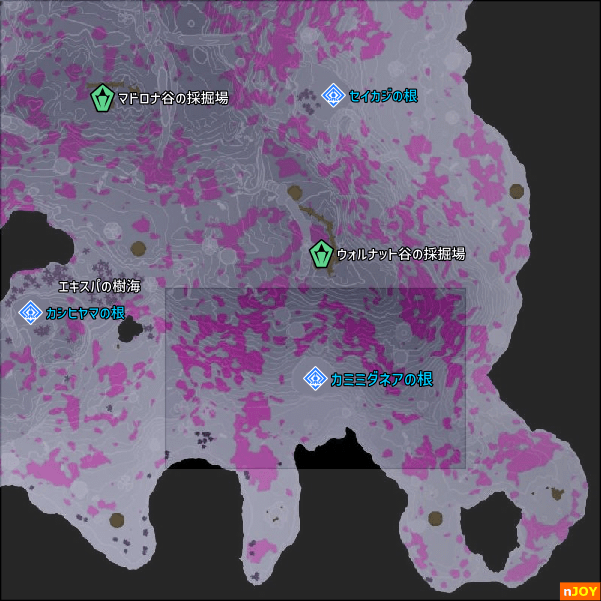 カミミダネアの根 周辺マップ
