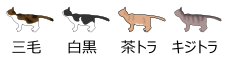 4種類の猫